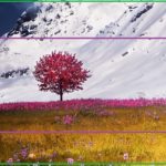 Что такое кроп в фотоаппарате